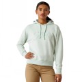ARIAT LADIES JUST HOODIE